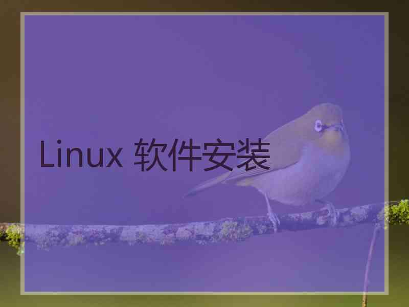 Linux 软件安装