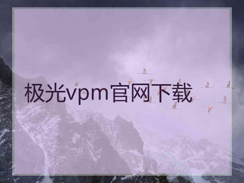 极光vpm官网下载