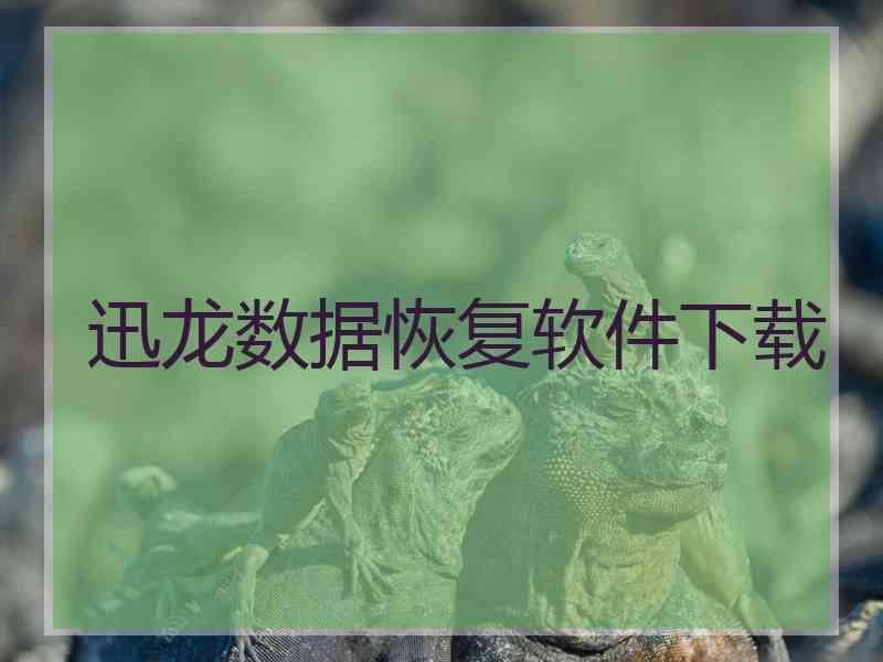 迅龙数据恢复软件下载