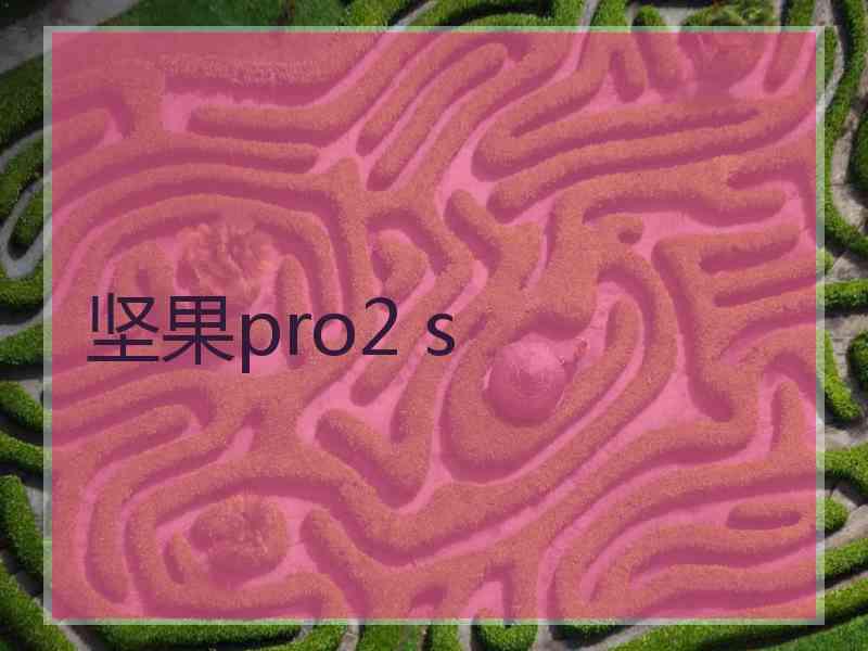 坚果pro2 s