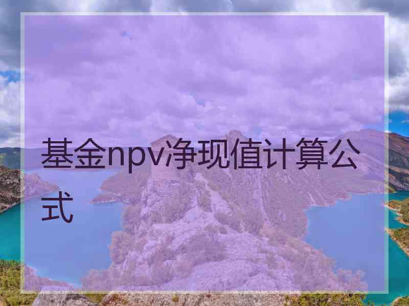 基金npv净现值计算公式