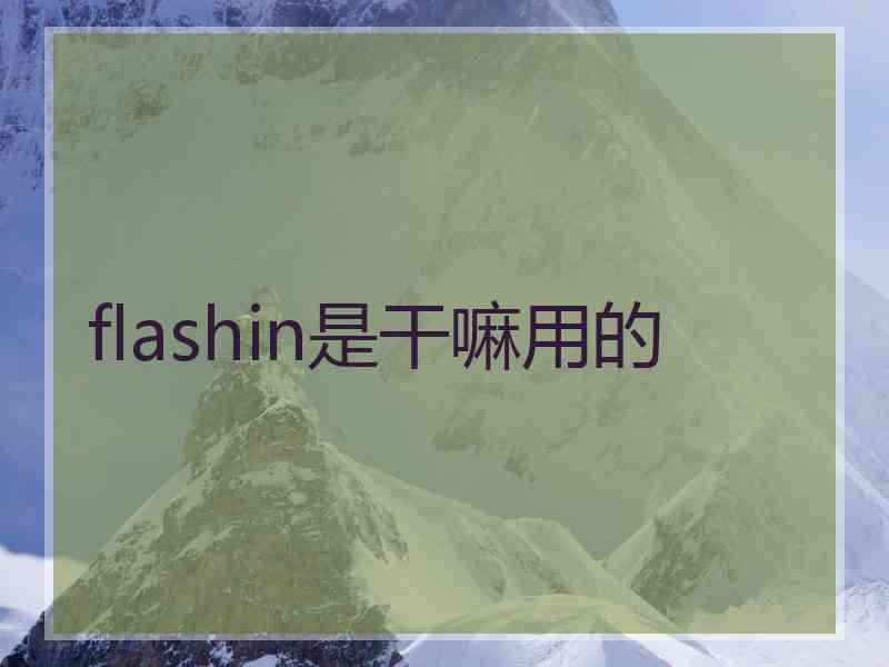 flashin是干嘛用的