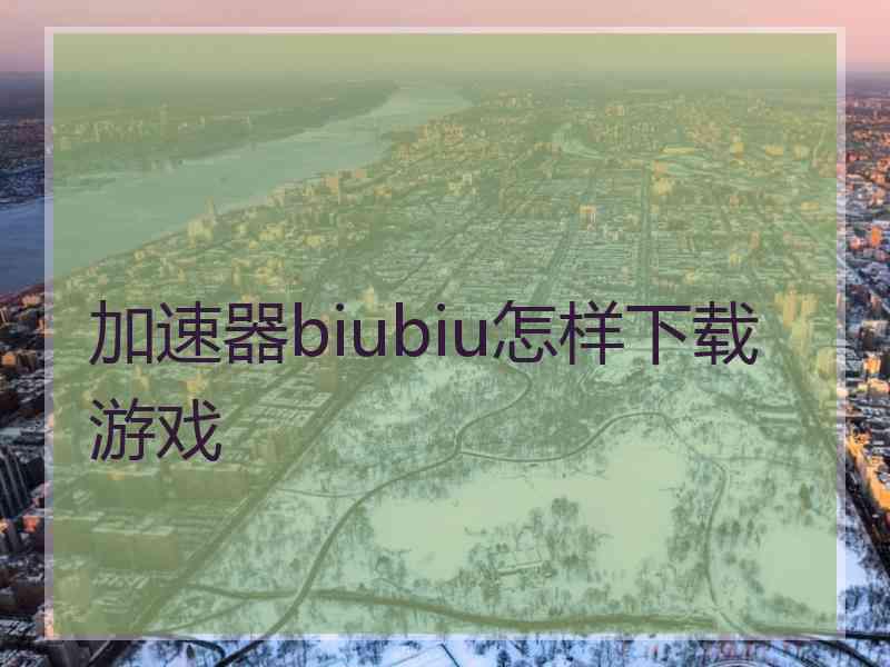 加速器biubiu怎样下载游戏