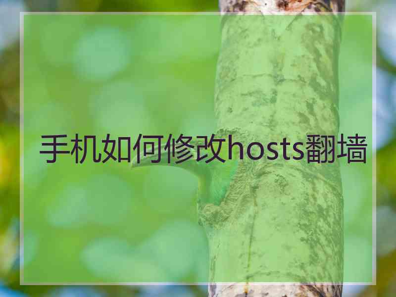 手机如何修改hosts翻墙