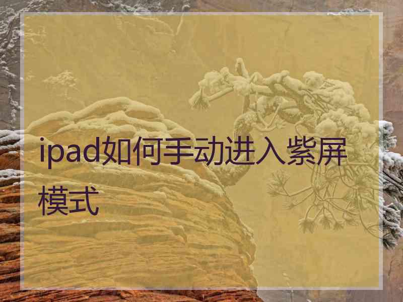 ipad如何手动进入紫屏模式