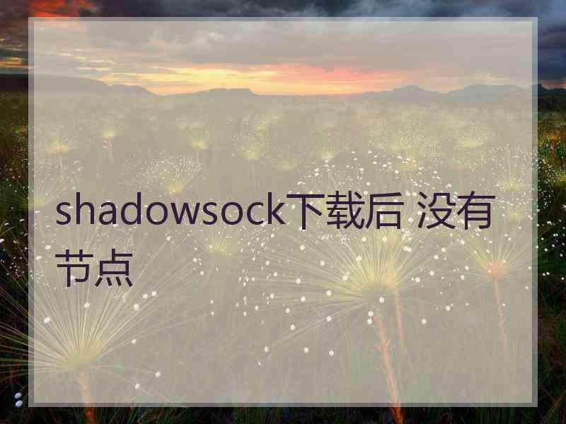 shadowsock下载后 没有节点