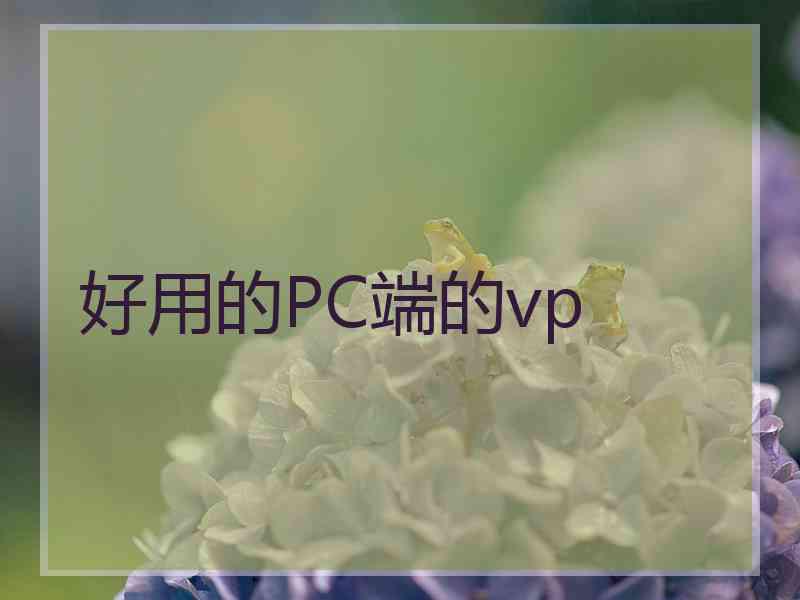 好用的PC端的vp