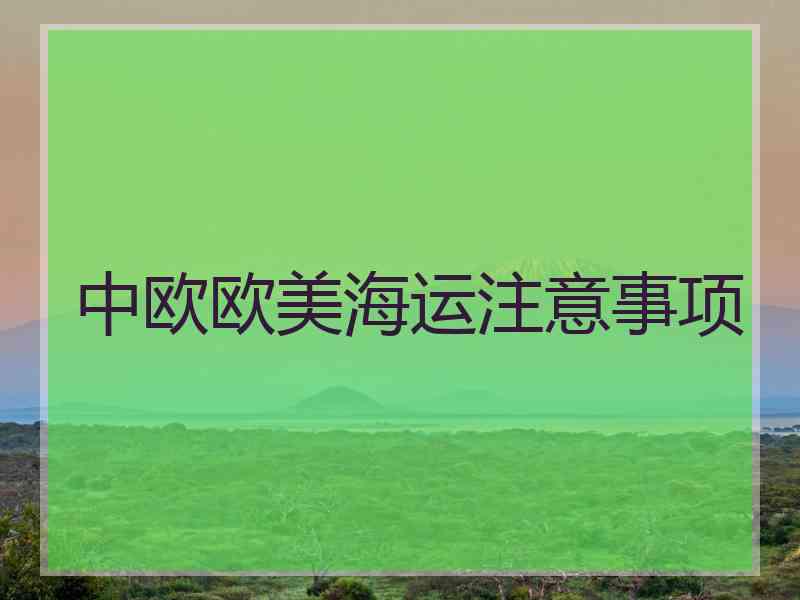 中欧欧美海运注意事项