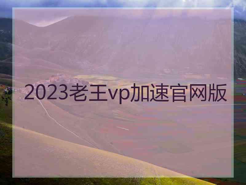 2023老王vp加速官网版