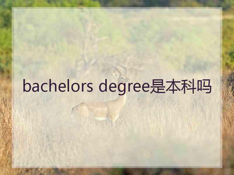 bachelors degree是本科吗