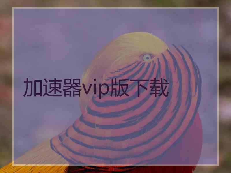 加速器vip版下载