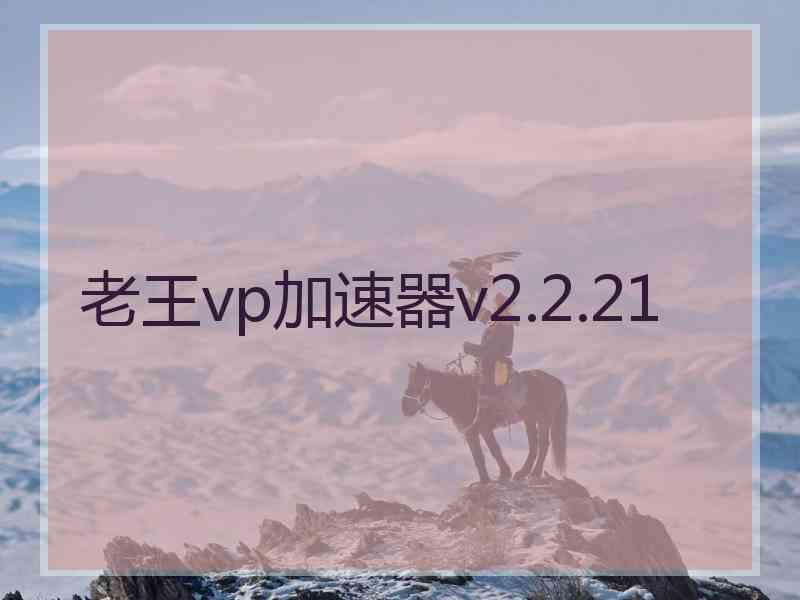 老王vp加速器v2.2.21