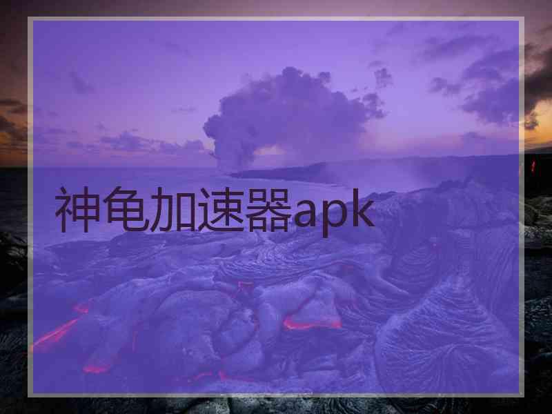 神龟加速器apk