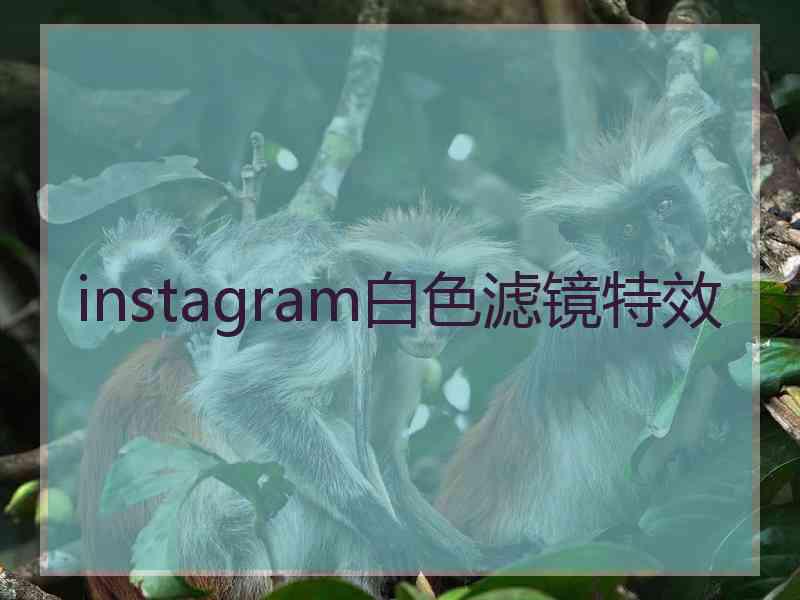 instagram白色滤镜特效