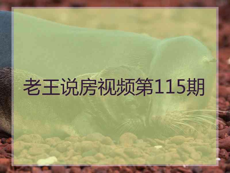 老王说房视频第115期