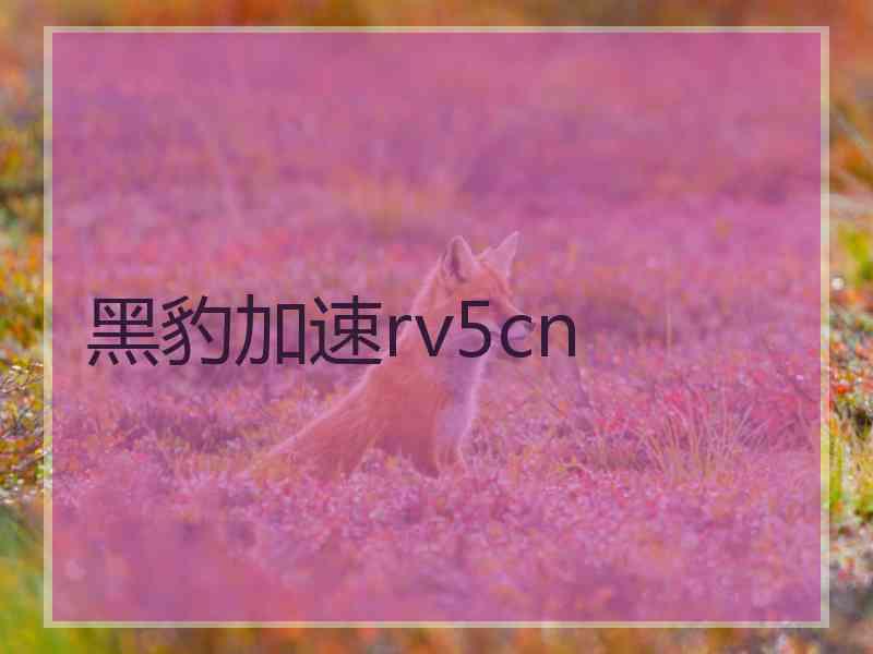 黑豹加速rv5cn