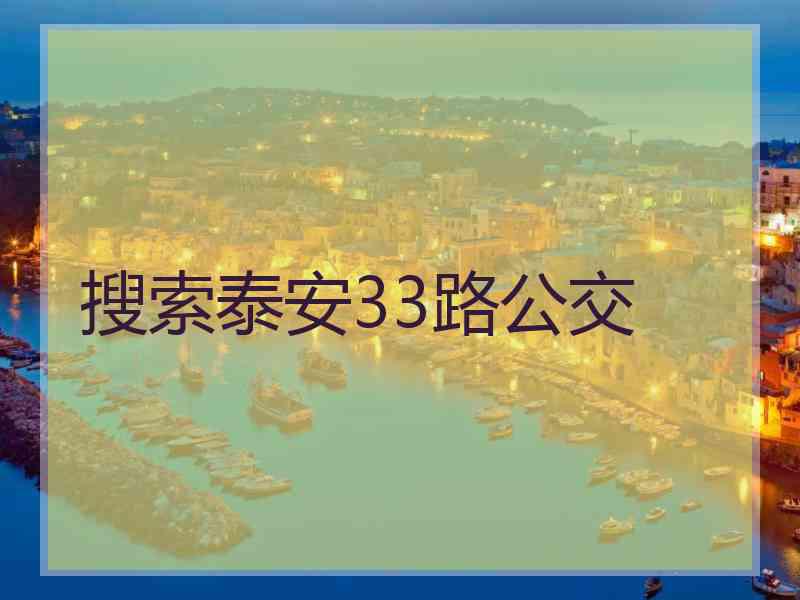 搜索泰安33路公交