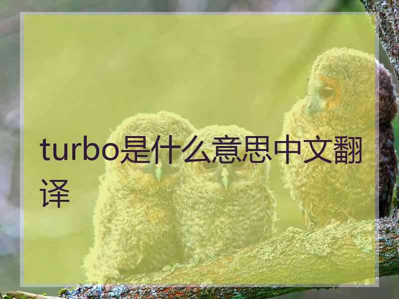 turbo是什么意思中文翻译