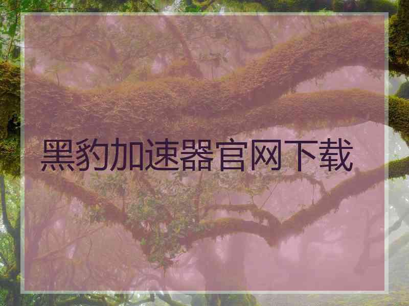 黑豹加速器官网下载