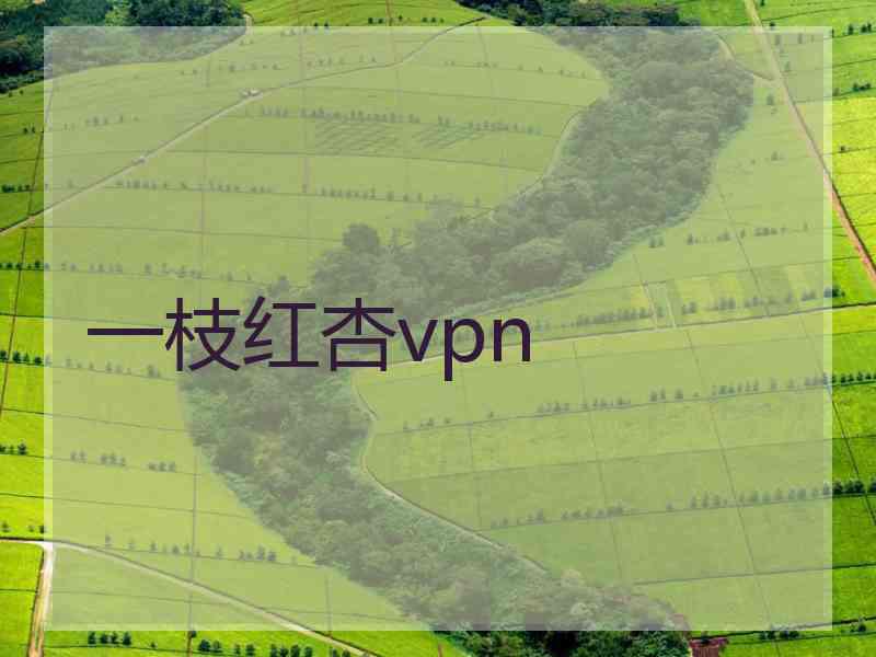 一枝红杏vpn