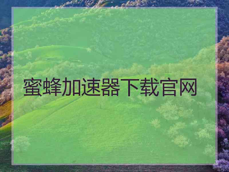 蜜蜂加速器下载官网