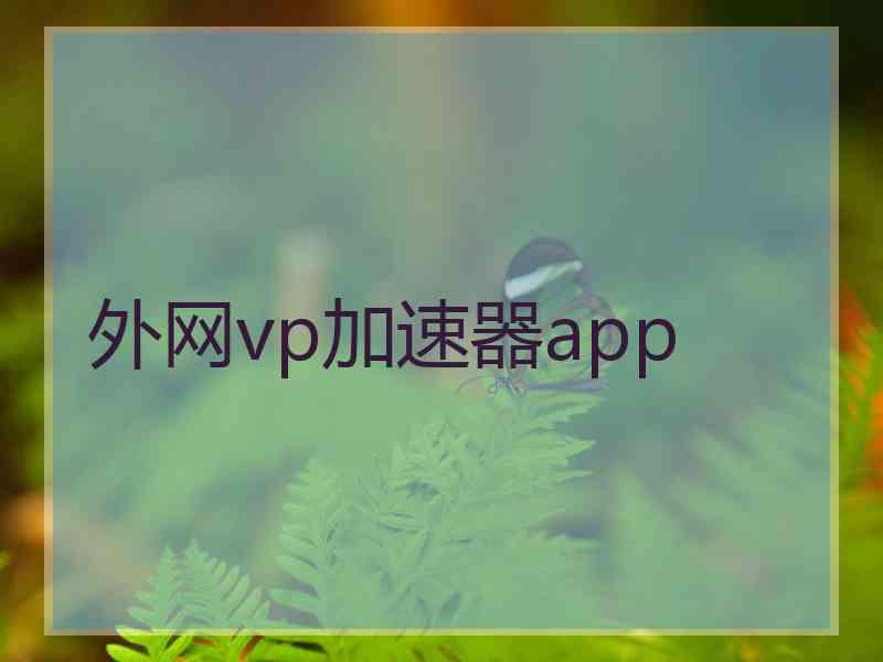 外网vp加速器app