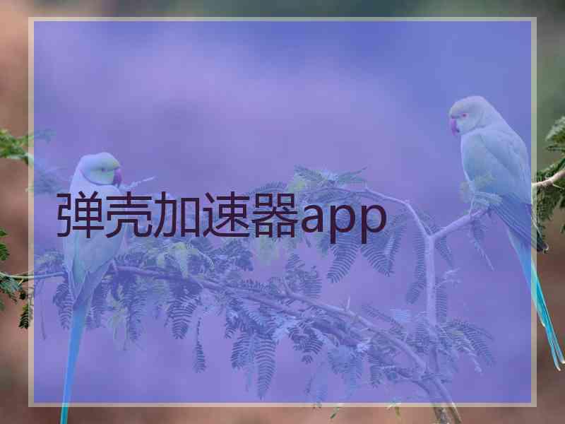 弹壳加速器app