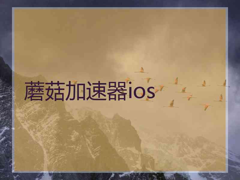 蘑菇加速器ios