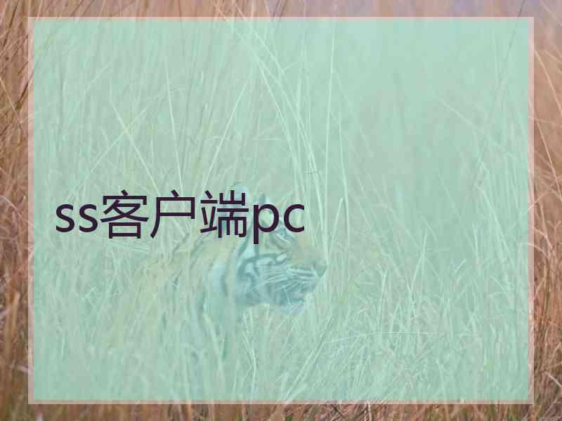 ss客户端pc