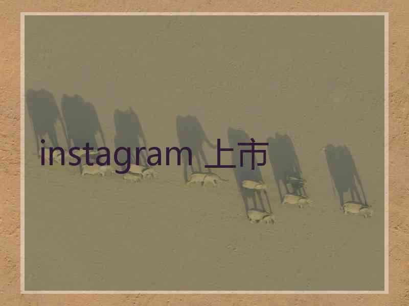 instagram 上市