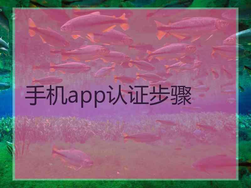 手机app认证步骤