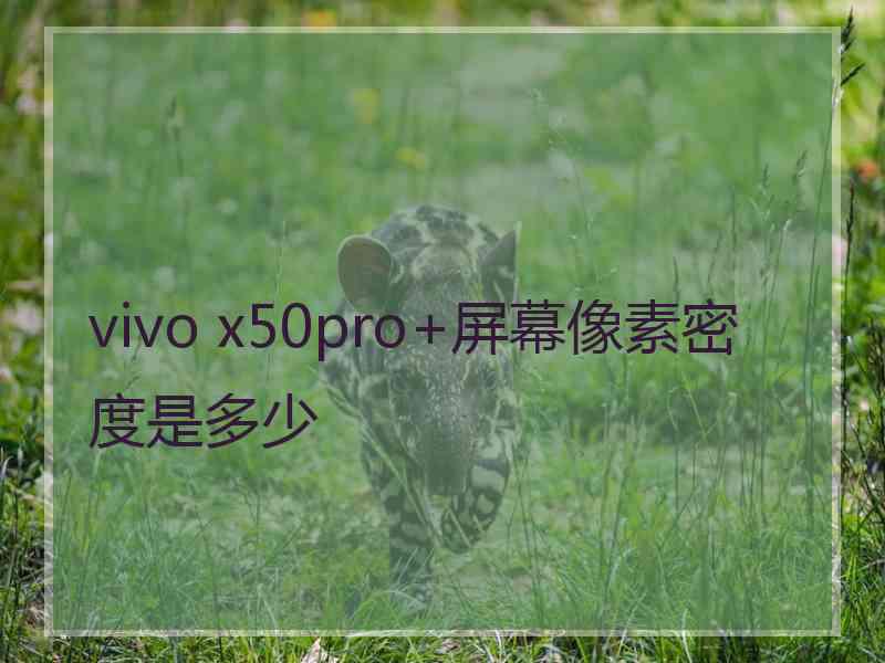 vivo x50pro+屏幕像素密度是多少