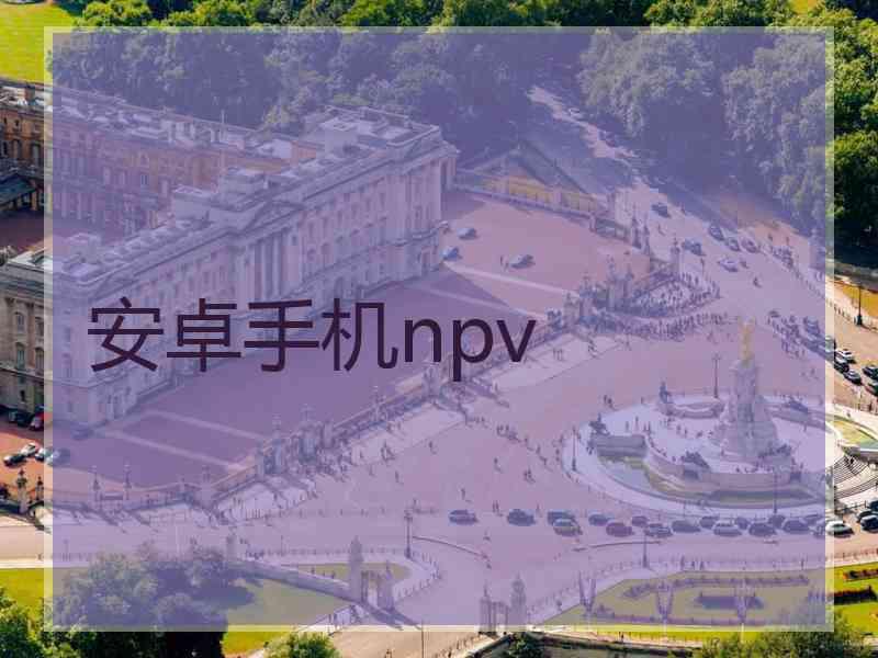 安卓手机npv