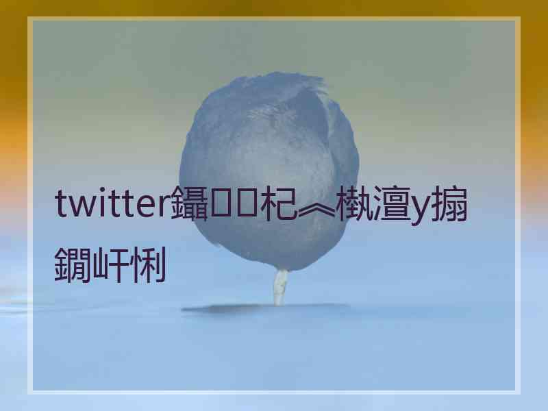 twitter鑷杞︽槸澶у搧鐗屽悧