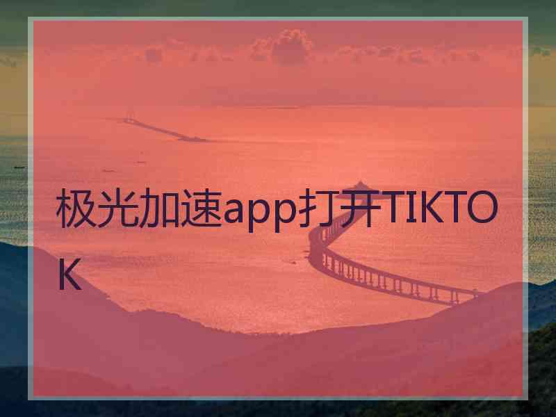 极光加速app打开TIKTOK