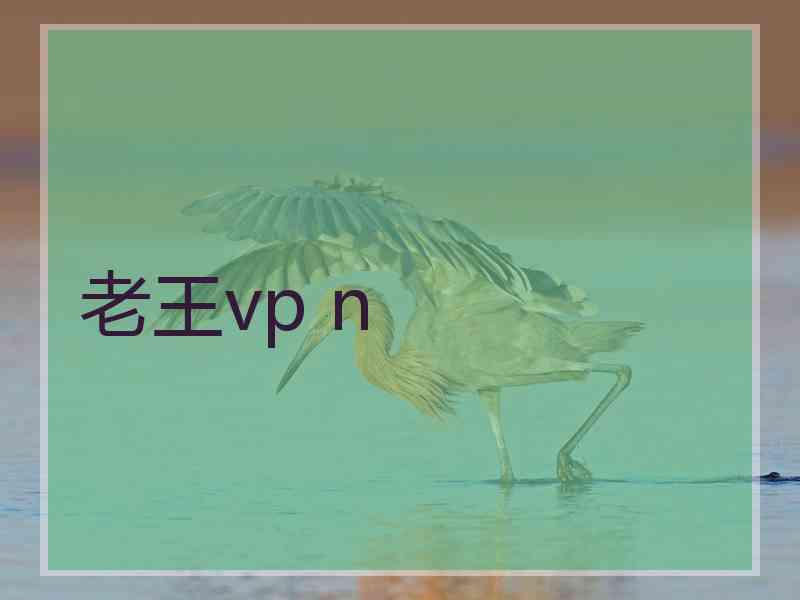 老王vp n