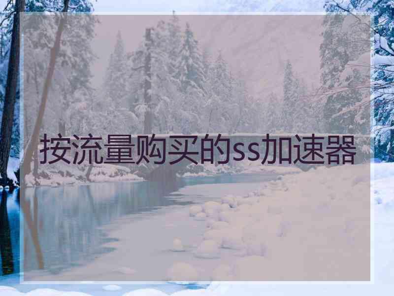 按流量购买的ss加速器