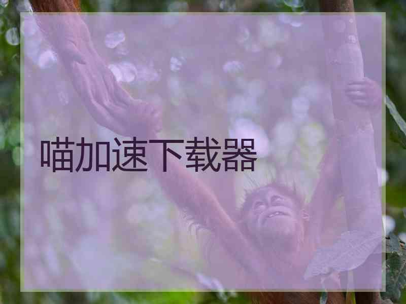 喵加速下载器