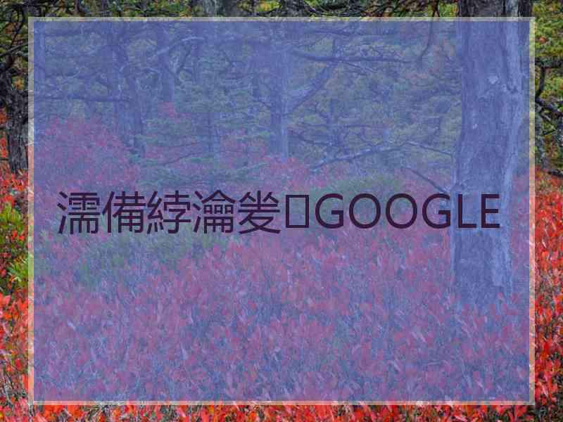 濡備綍瀹夎GOOGLE