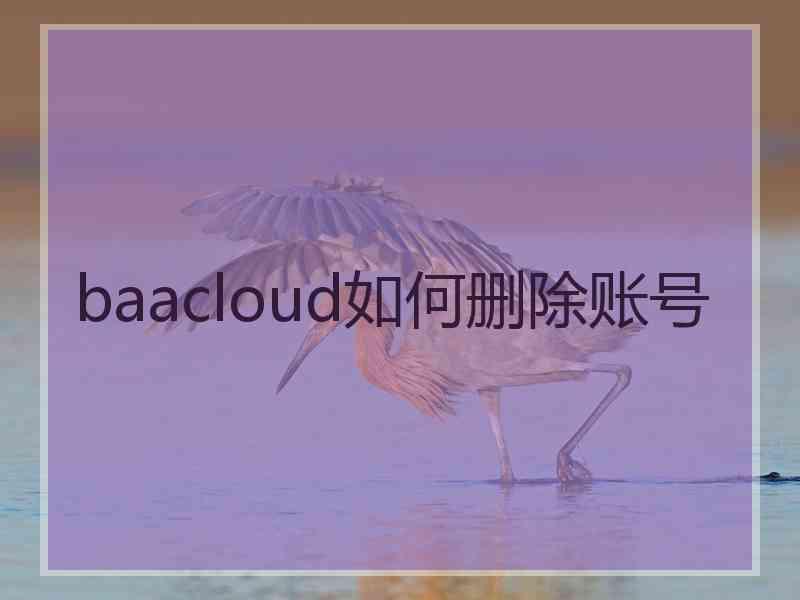 baacloud如何删除账号