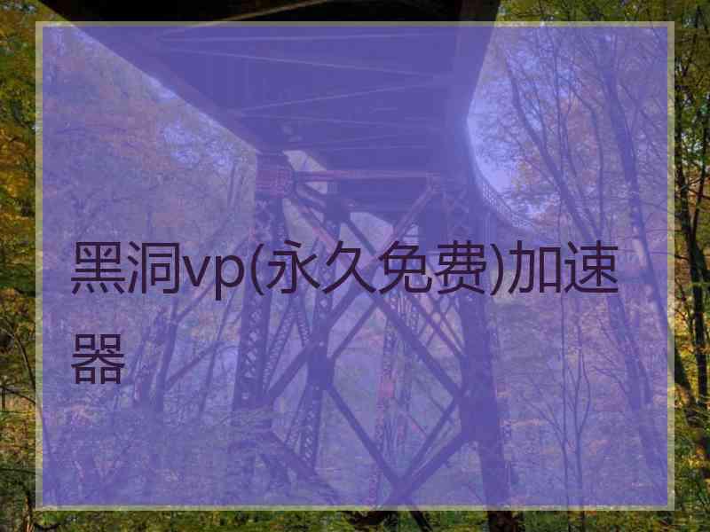 黑洞vp(永久免费)加速器