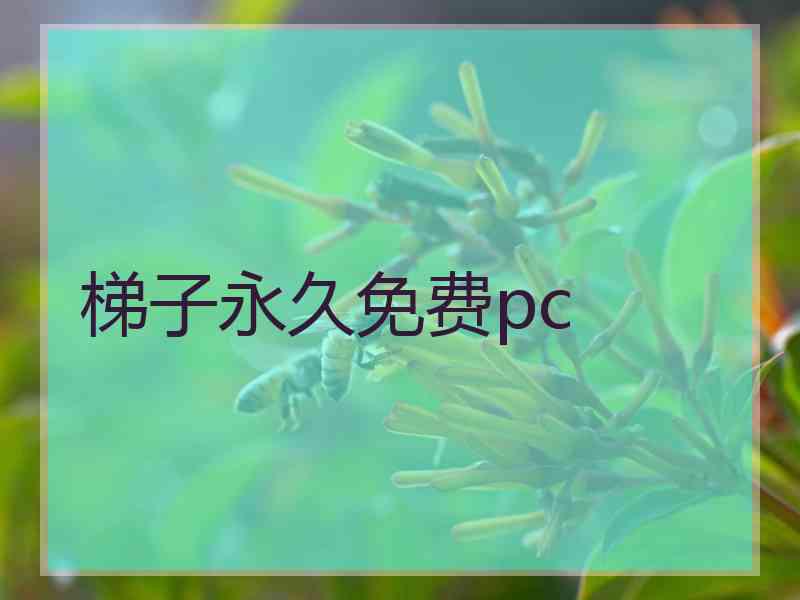 梯子永久免费pc