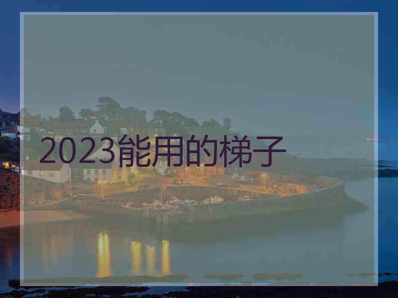 2023能用的梯子