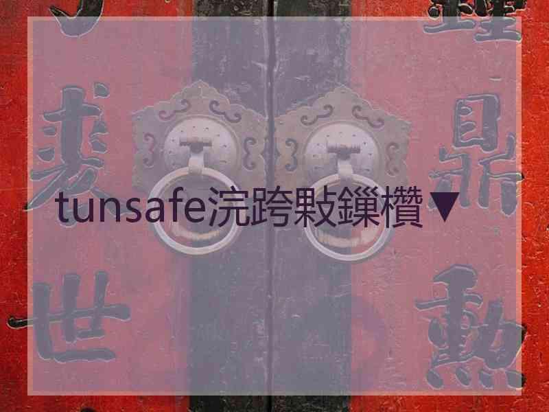 tunsafe浣跨敤鏁欑▼