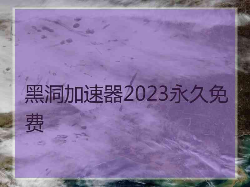 黑洞加速器2023永久免费