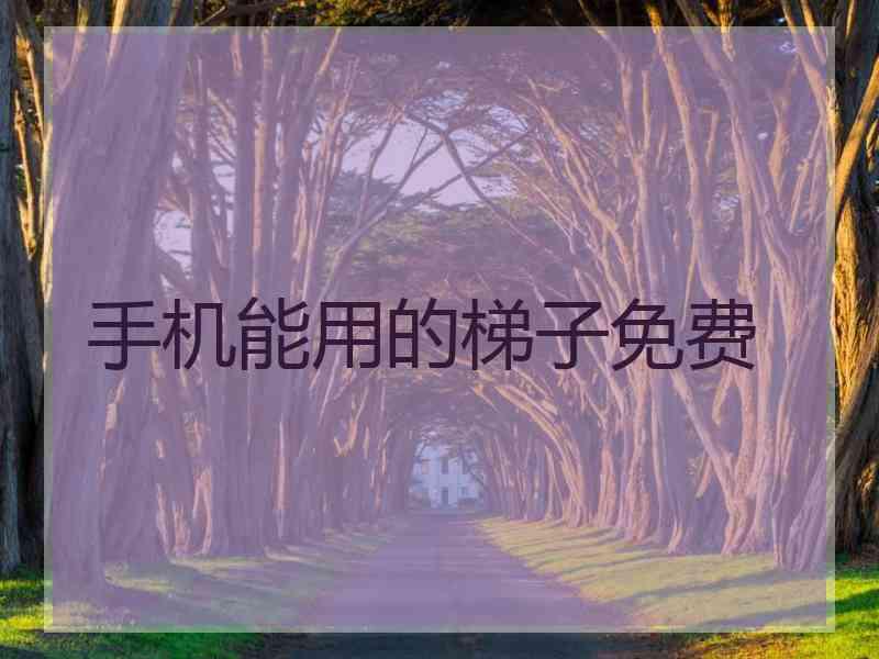 手机能用的梯子免费