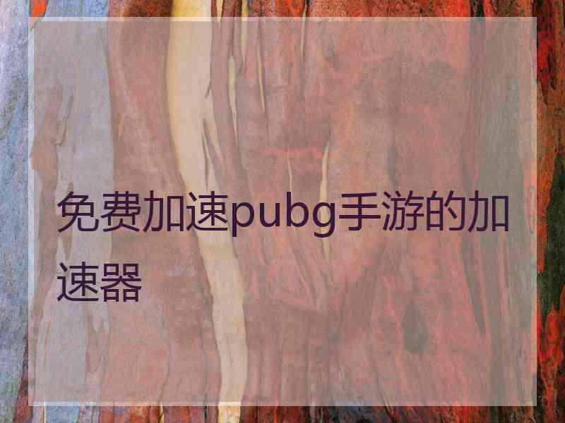 免费加速pubg手游的加速器