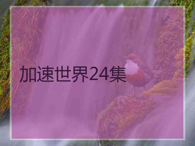 加速世界24集