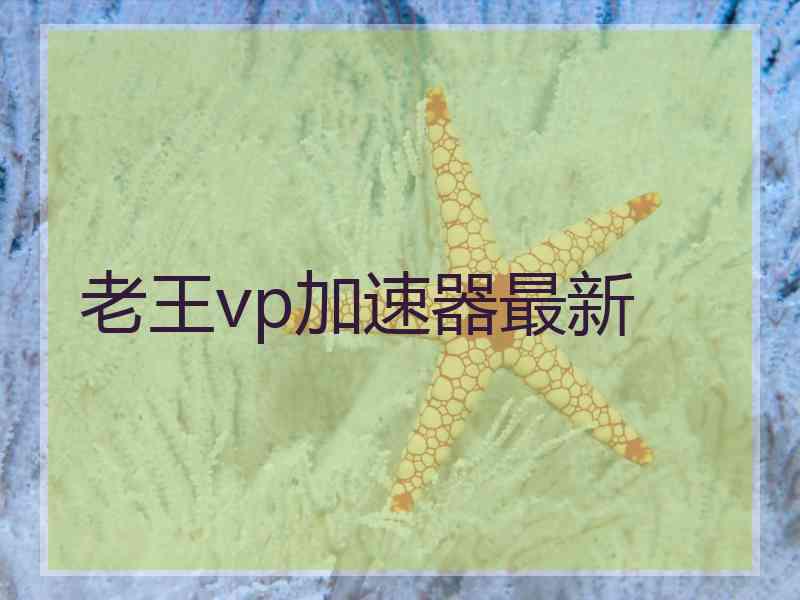 老王vp加速器最新