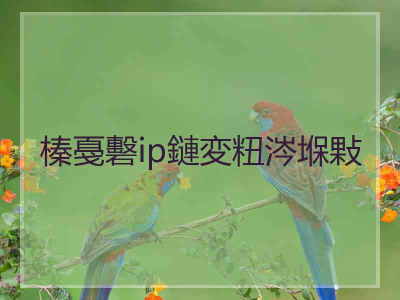 榛戞礊ip鏈変粈涔堢敤